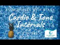 Aqua Fitness Water Workout - Cardio & Tone Intervals - 2 Buoys - ALL Levels - Underwater views HD