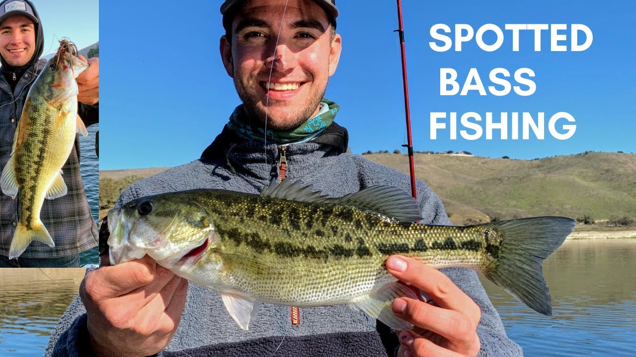 Lake Nacimiento Spotted Bass Fishing YouTube