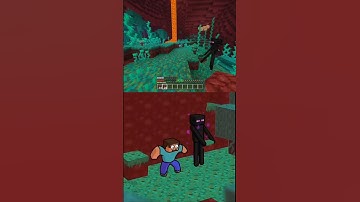 Enderman Encounters Animation meme In Real Minecraft #minecraft #enderman #nether @ChinosAnimated