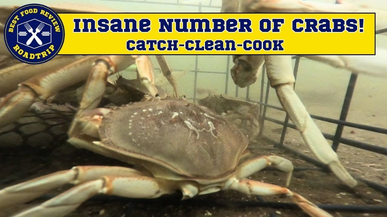 Underwater video of Dock Crabbing on the Oregon Coast Florence, OR