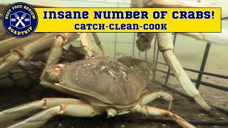 Underwater video of Dock Crabbing on the Oregon Coast | Florence, OR