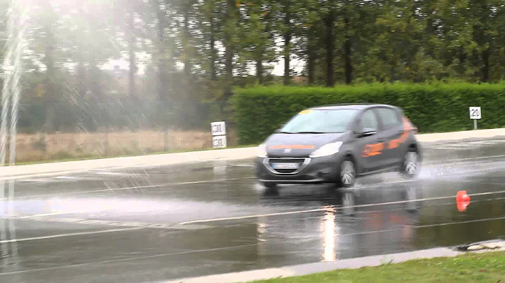 Rally ICARE 2014 - Lardy conduite team (Marie-Chri...