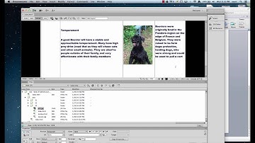 Table Based Layout in Dreamweaver