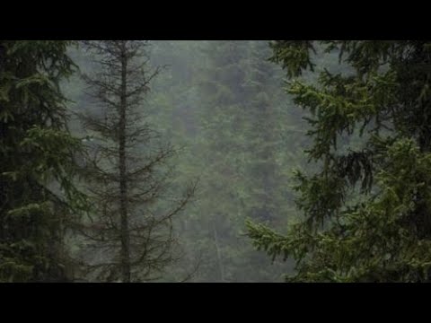 Король и Шут - Солдат и Чёрт