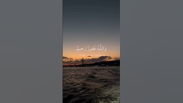 { أفلا يتوبون إلى الله ويستغفرونه } القارئ عبدالرحمن مسعد #قرآن