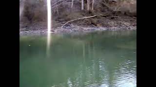 trout fishing … year around Alabama location …sipsey tail water smith lake below dam low level screenshot 3