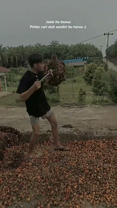 story'wa truk sawit#shortvideo #sawitkalimantan #youtubeshorts