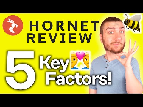 Complete Hornet Site Review [The Bees Knees!]