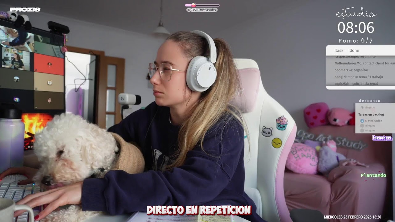 ESTUDIA EN COMPAÑÍA 📓☕🎧 de lunes a viernes ⌛✨ técnica pomodoro 🍅💗 ¡máxima productividad! 💭🎯