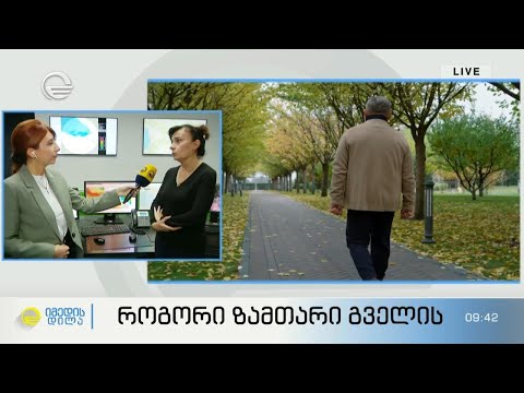 როგორი ზამთარი გველის