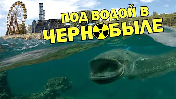 ОСТАВИЛ КАМЕРЫ В РЕКЕ ПРИПЯТЬ I Существует ли мегалодон в Чернобыле?
