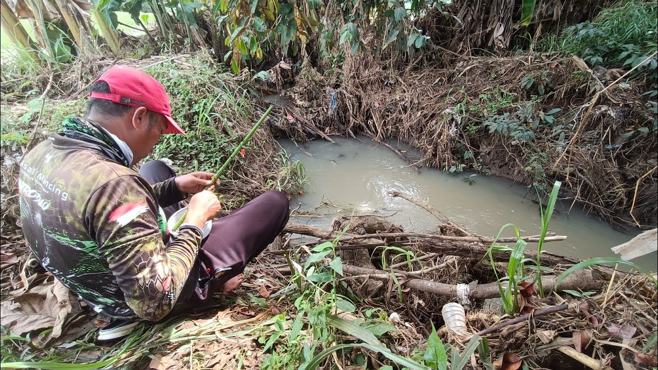 Live Mancing Ikan Di Selokan