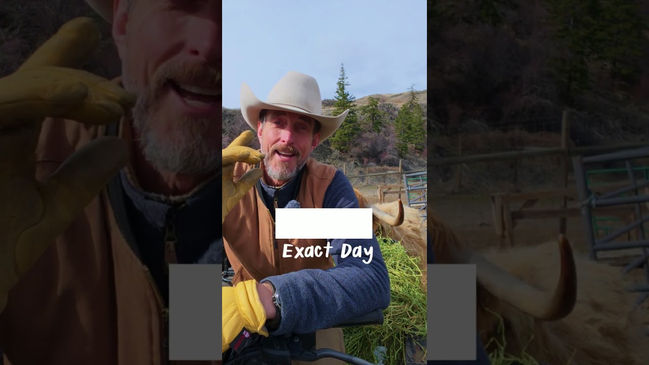 The Question That Almost Ended My Faith | Steven Just Asked It on DOAC