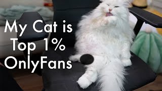 My Cat is TOP %1 on OnlyFans