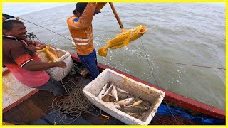 Vida do Pescador em Alto Mar: Desafios Diários e Grandes Recompensas.