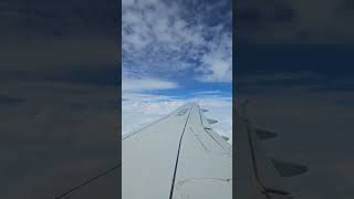 하늘구름과 구름사이 비행기 날다솜사탕