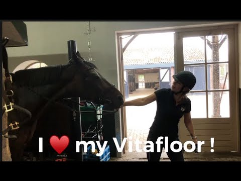 Horses love Vitafloor break compilatie