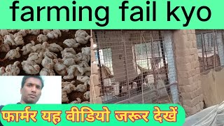 poultry farming fail kyo ho raha hai, farming main fail kyo ho jata hai