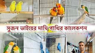 আবারো ব্যতিক্রম পাখি নিয়ে চলে আসলো সুজন ভাই।ইলেক্টাস প্যারট।চ্যাটারিং লরি।সান কনিউর।বাজরিগার ঘুঘু৭০০