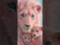 CottonCandyLions! 🦁 #PinkLion #Cute #AIArt #Viral #LionCub #Lion #Beast #Wildlife #ytshorts #Animals