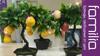 Видео "ФАМИЛИЯ" МАГАЗИН: МАЙ 2020, СИДИМ ДОМА (автор: RED КОТ)