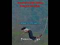 🔥Amazing Bunjee jumping stunts🔥|#crazyedits #legends #edits #crazyeditsviralvideos