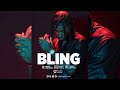 FREE Dancehall Instrumental 2026 BLING