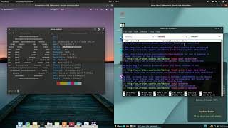 Elementary OS 5 vs Linux Lite 5.2