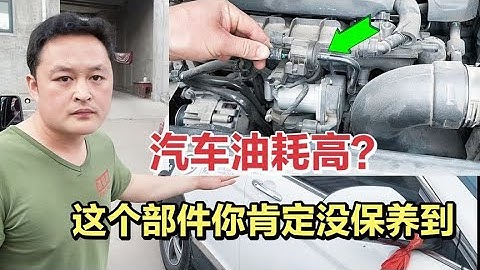 汽车油耗高，别花钱乱修，手把手教你一招简单解决！【车二哥说车】