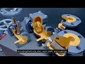 How to Specify a Corrosion-Resistant Butterfly Valve for Large Pipelines