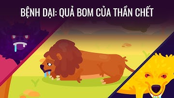 Bệnh dại: Quả bom của thần chết