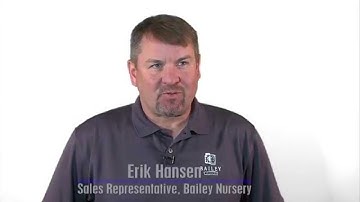 What is the difference between standard semi dwarf and dwarf fruit trees?