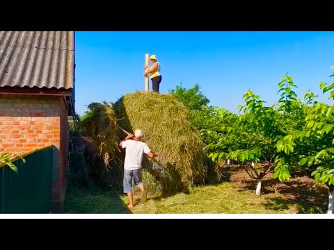 Summer on a Ukrainian Homestead:🌻Stacking Hay and Garden Work.