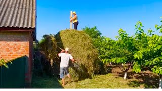 Summer on a Ukrainian Homestead:🌻Stacking Hay and Garden Work.