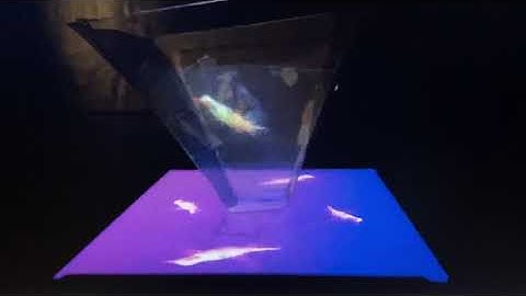 💠Holographic videos 3💠