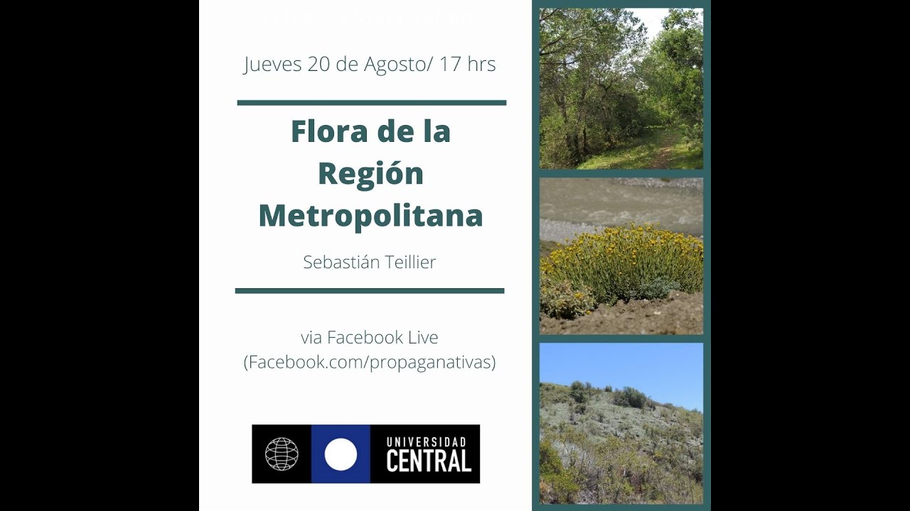15. Flora de la Región Metropolitana - Sebastián Teillier
