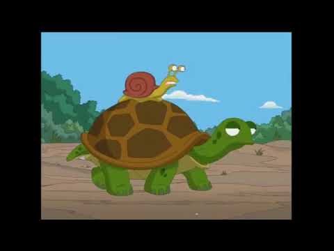 ვაი ვაი ვაი ვაი ვაი