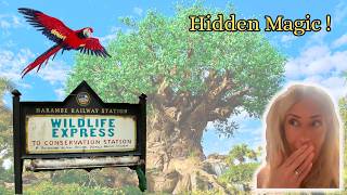 A PERFECT Day at Disney's Animal Kingdom 🦘 Hidden Magic, Conservation Station & Feathered Friends!