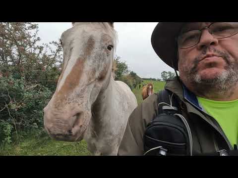 Lanchester - Tees Valley Way - Ushaw College loop with Interesting Walks NE (9.3 miles)