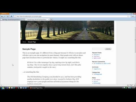 The Difference Between Posts and Pages In WordPress