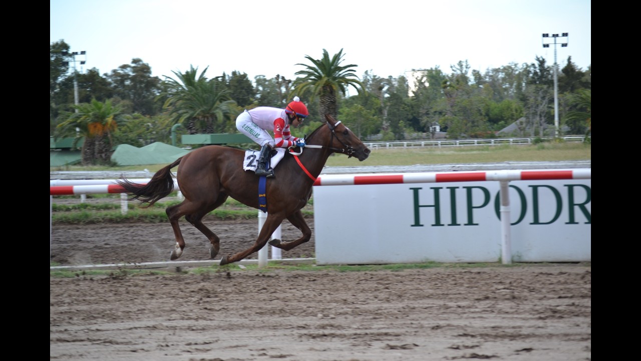 Clásico Criadores Argentinos del Sangre Pura de Carrera (L) 2026 - Chichipío (Angiolo)