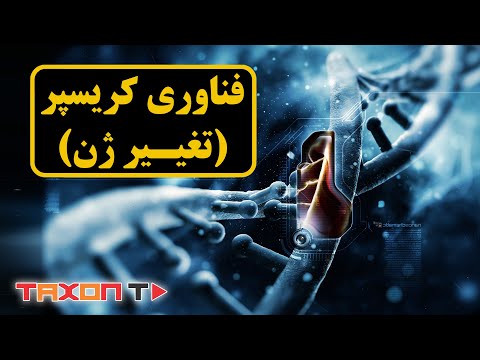 تصویری: آیا ژن خاصی وجود دارد؟