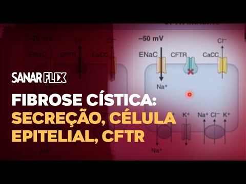 Vídeo: O MiR-200b Regula Negativamente A CFTR Durante Hipóxia Em Células Epiteliais Do Pulmão Humano