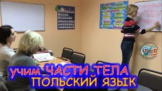 Фрагмент урока польского языка в Ривер Центре. Изучение лексики на тему ЧАСТИ ТЕЛА. Фрагмент урока польского языка в Ривер Центре. Изучение лексики на тему ЧАСТИ ТЕЛА.