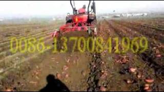 potato harvester/single-row potato harvester machine for sale/mini potato harvester/potato harvester used/used mini potato 