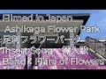 Filmed in Japan – Ashikaga Flower ParkInsert Song: “Flare of Flowers” 