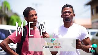 WHAT YUH KNOW SEASON 4, EPISODE 8 - SIPARIA