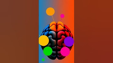 Understanding Cognitive Biases in Decision Making