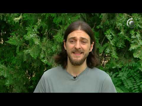 გურიზმები - ინტერპრეტაციები