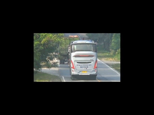 Bus Tronton Rapi Napin ASERA Melintasi Jalur Palas . #shorts #busrapi class=